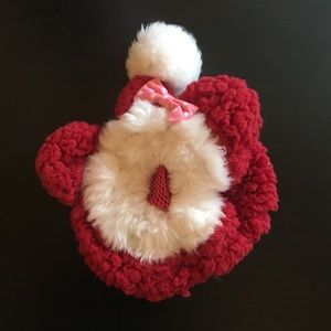 Doggie Santa hat